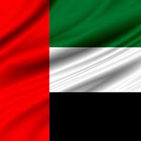 UAE flag