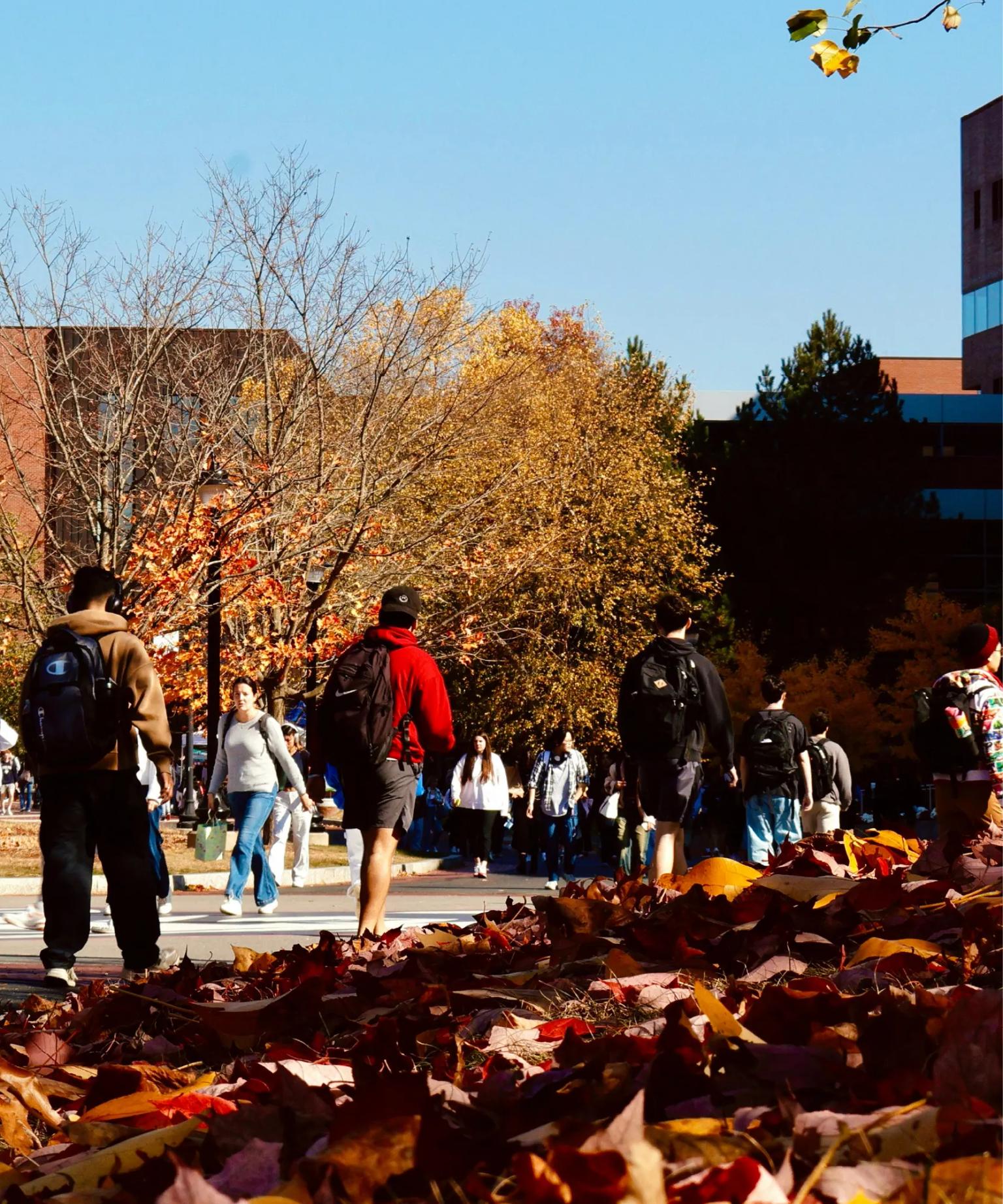 Fall