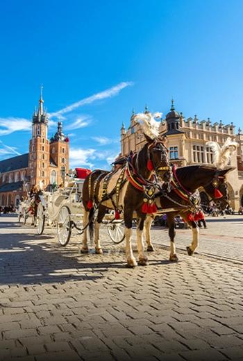 MBBS in Poland