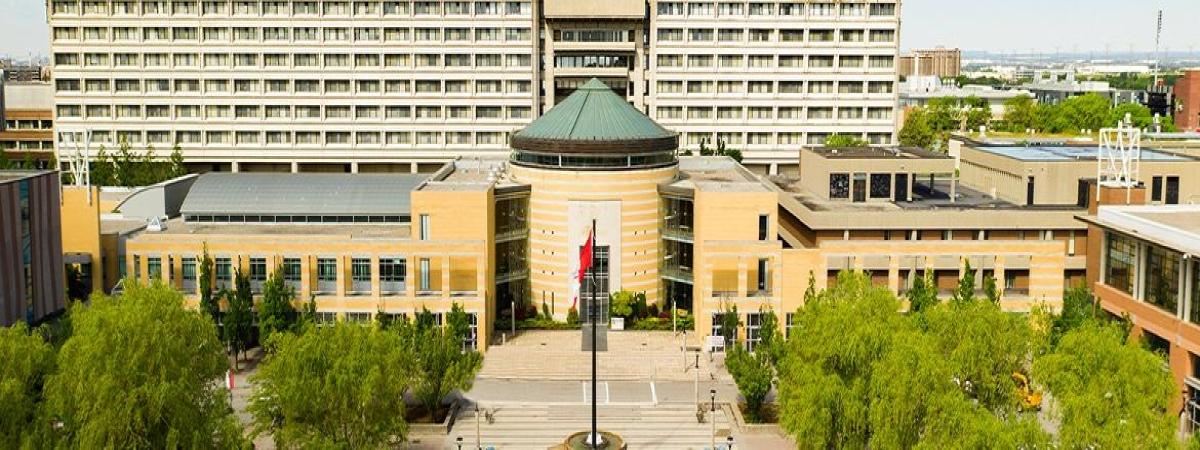 Study in York University
