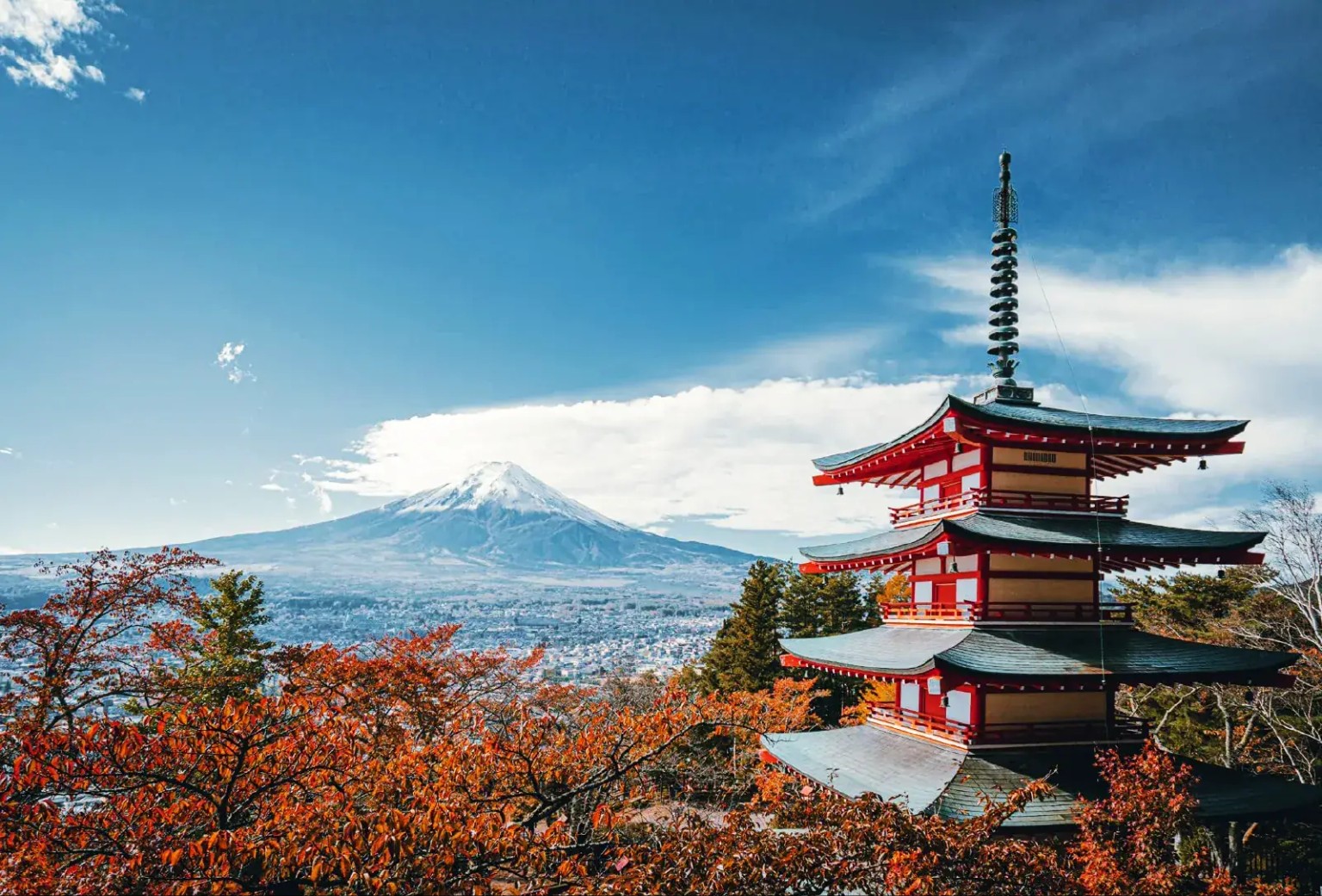 Study in Japan Study in Japan