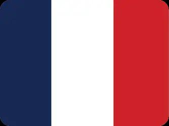 Study in France flag Study in France flag