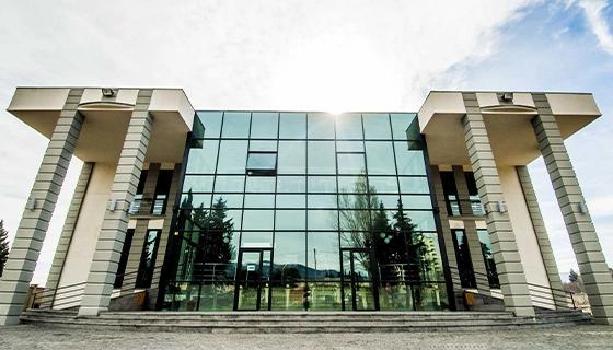 Grigol Robakidze University Grigol Robakidze University