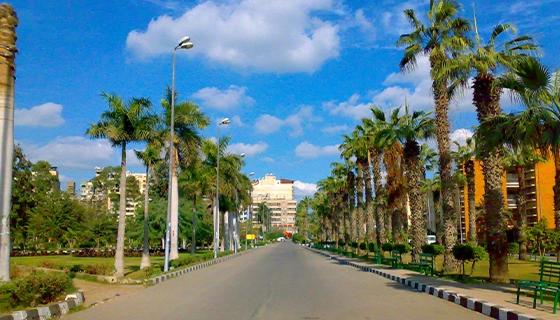 Mansoura University Mansoura University