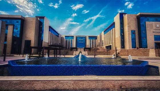 International University of Tbilisi International University of Tbilisi