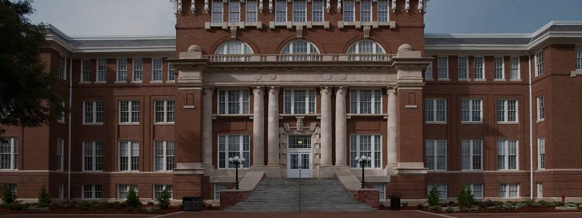 university university
