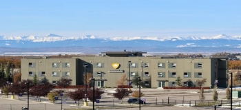 Study in Ambrose University