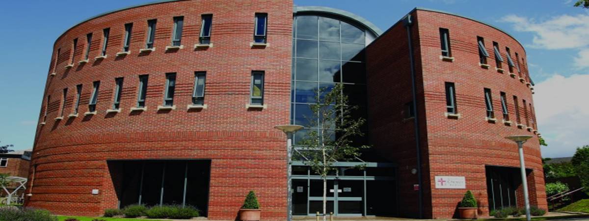 university university