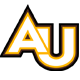 study in Adelphi University