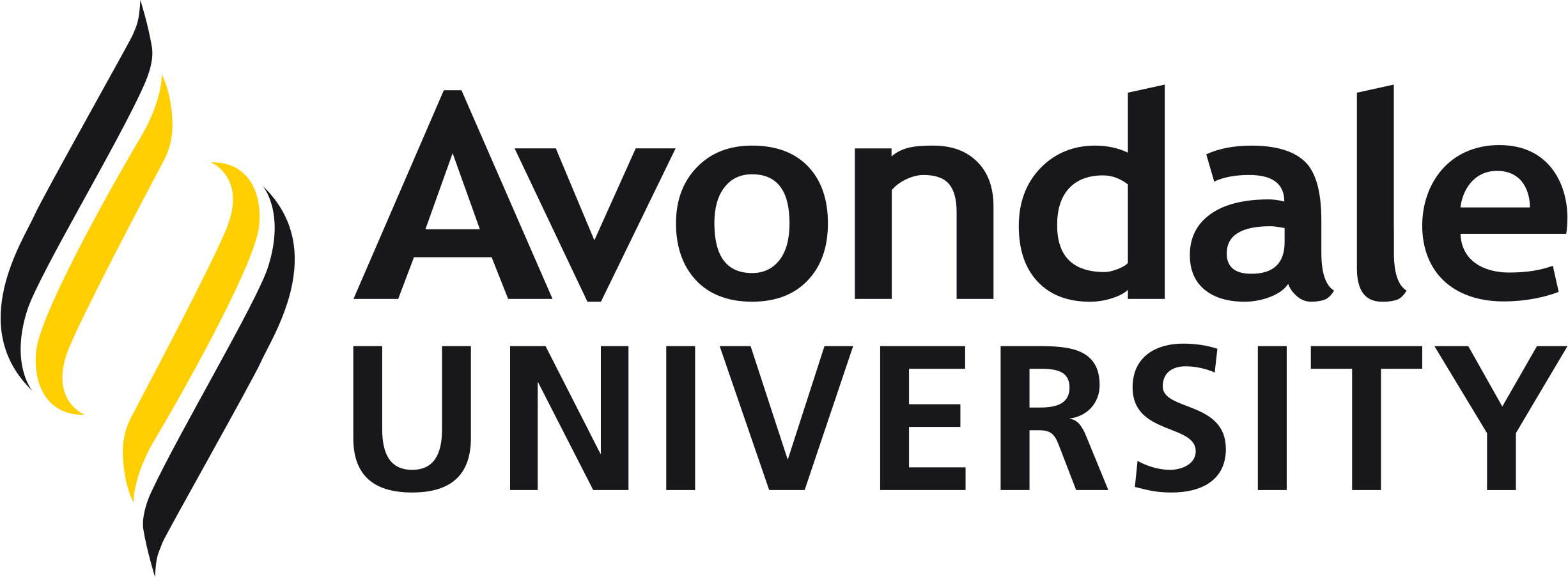 study in Avondale University